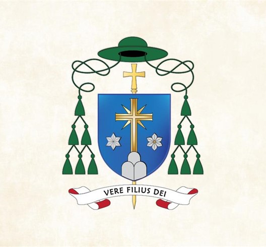 Biskupski grb mons. Marka Kovača